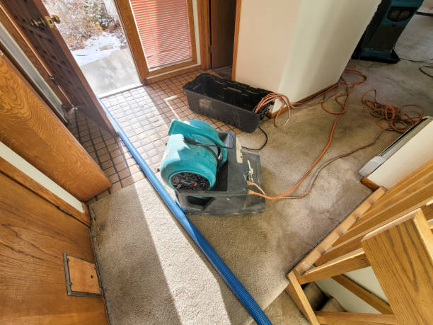 Best Ceiling water damage repair  in Dilworthtown, PA