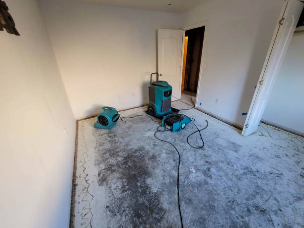 Best Basement water damage restoration  in Dilworthtown, PA
