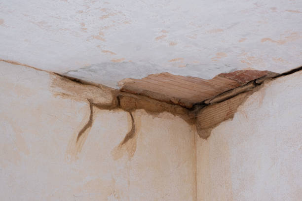 Best Local water damage restoration  in Dilworthtown, PA