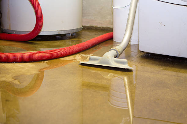 Best Flooded house restoration  in Dilworthtown, PA