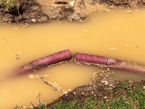 Best 24-hour water damage restoration  in Dilworthtown, PA